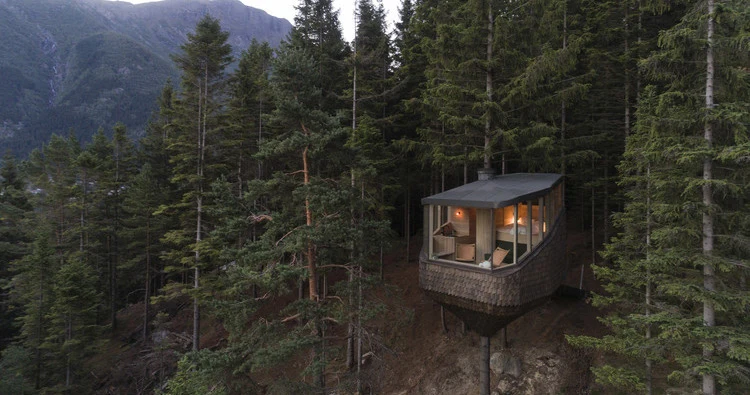 Woodnest Cabin — Section Study — The Woodland Cabin Site Analysis, image 2