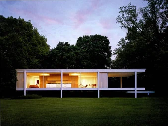 Farnsworth House — Section Edit — Repetition Linear, image 9