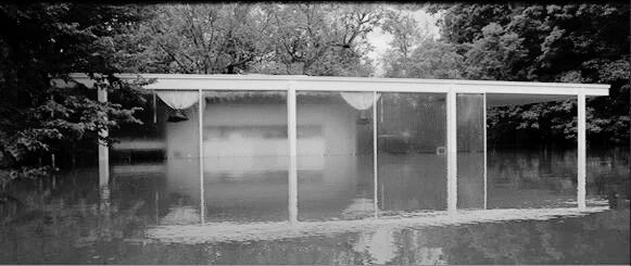 Farnsworth House — Section Edit — Repetition Linear, image 16