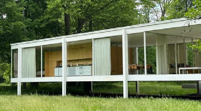 Farnsworth House — Section Edit — Repetition Linear, image 17